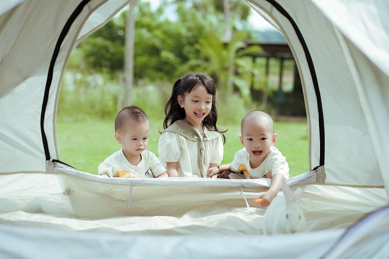 Camping cooking equipment